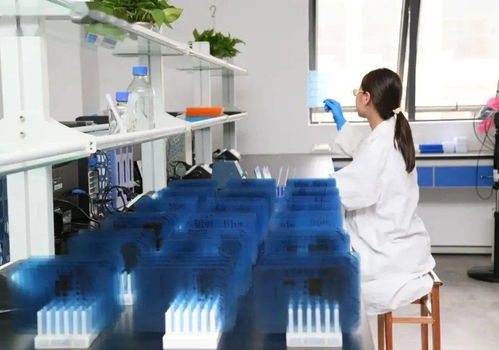 汪祥旺劉潔調研光谷準上市企業 厚植沃土助企業爭創世界一流