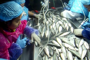 海水養殖魚類病害防控生物制品研發與應用項目通過階段驗收