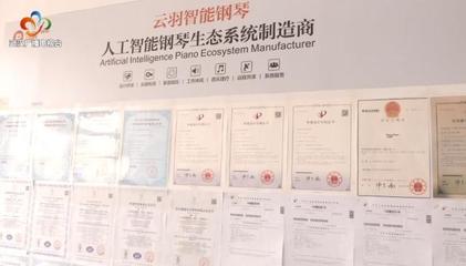 銀發(fā)創(chuàng)業(yè)傳奇 傾盡家產(chǎn)鑄琴魂，兩年破兩億的跨界逆襲